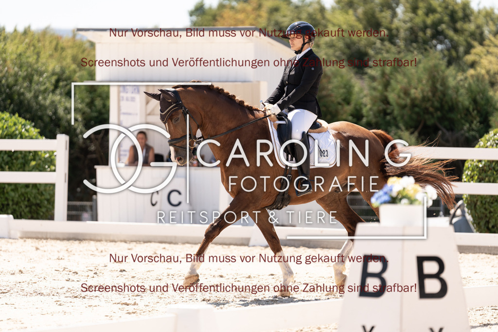 DSC05300 | Dressurturnier_Göppingen_2026, Julia_Sarina_Fahsold, Vertellis