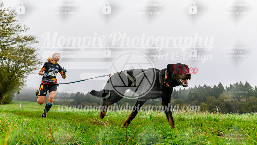 MompixPhotography_20TSB_E5_Run-84 | PayLife