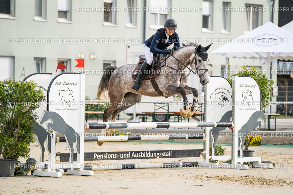 DSC08138 | Pferdegrafie