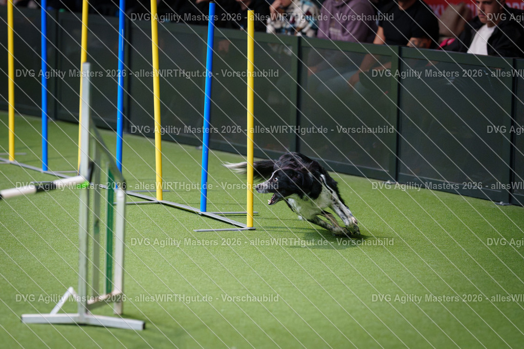 allesWIRTHgut_Tierfotografie-DVG_Agility_Masters_2026-09_41-7R502437 | Professionelle Tierfotografie in Mönchengladbach von Daniel Wirth (allesWIRTHgut). Liebevolle & natürliche Bilder von Hunden & Katzen für unvergessliche Erinnerungen.