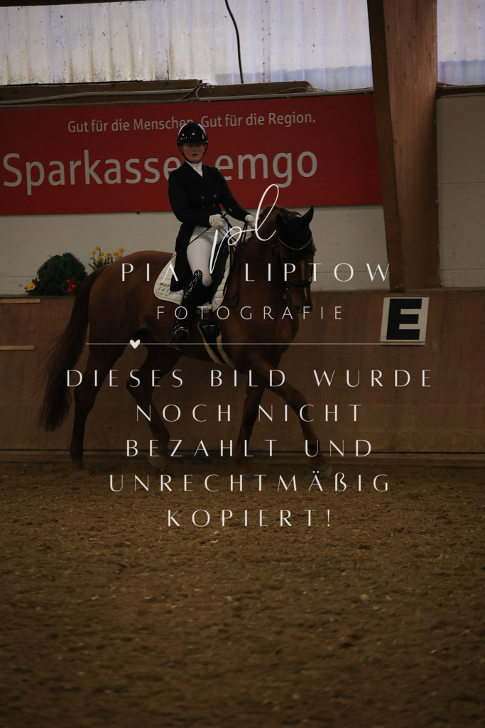 IMGT6348 | pl-fotografie