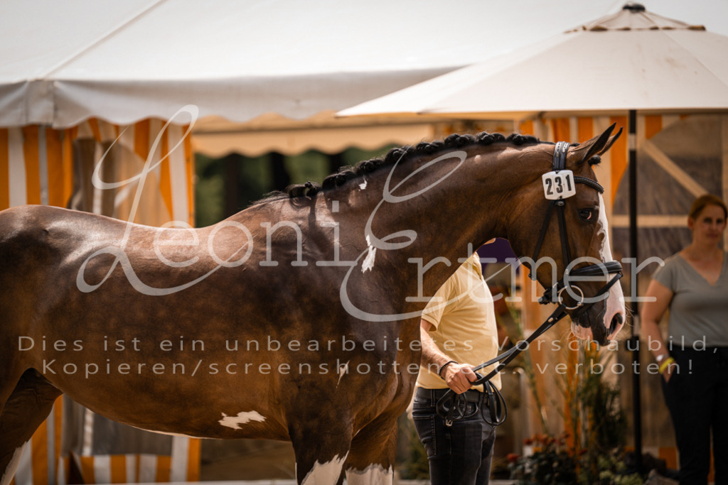 3.Fr00191 | Leoni Ertmer Photography - Realisiert mit Pictrs.com