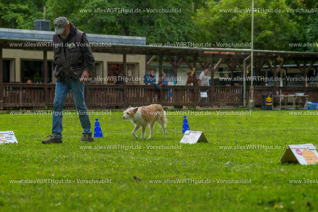 @allesWIRTHgut_Tierfotografie - www.allesWIRTHgut.de - 7R501357 | Professionelle Tierfotografie in Mönchengladbach von Daniel Wirth (allesWIRTHgut). Liebevolle & natürliche Bilder von Hunden & Katzen für unvergessliche Erinnerungen.