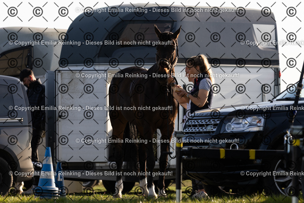 CL5A6250 | Emilia Reinking Fotografie - Realisiert mit Pictrs.com