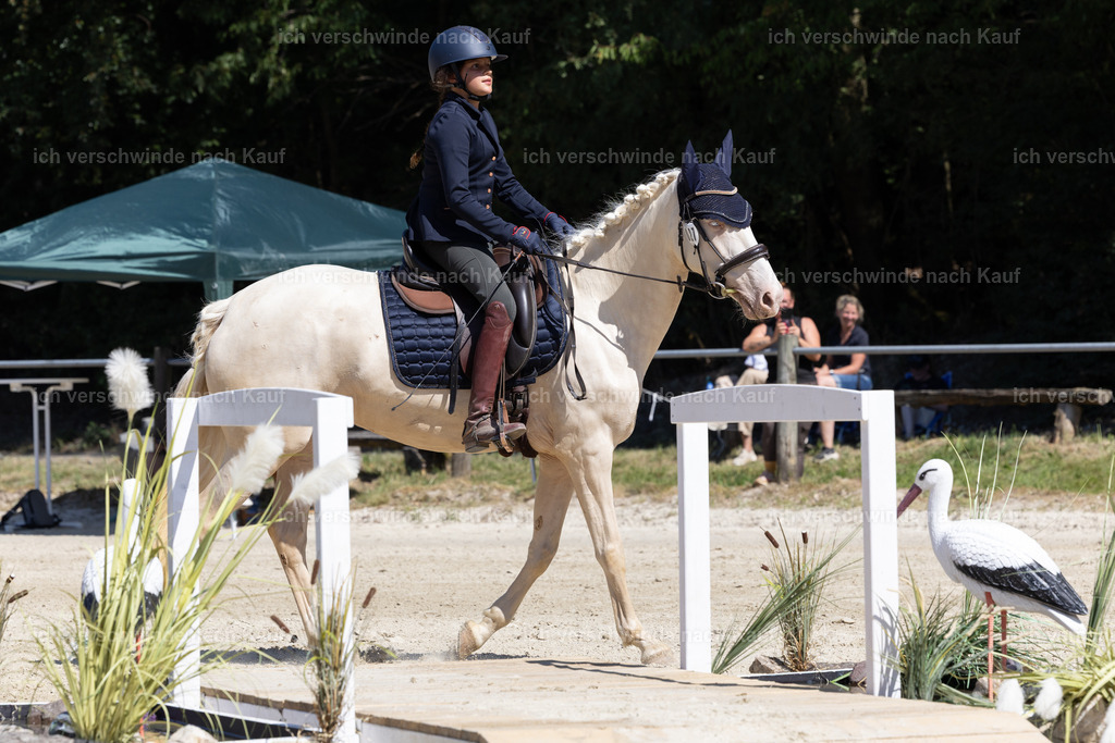 WE_Trail_27_KerstinBernhardt | working equitationturnier fotograf videograf stoibphotography marixx film working equitation deutschland reitsport turnierfotografie eventfotografie equestrian events