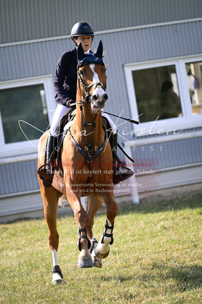 DSC_1221 | Pferde- und Turnierfotografie in Westsachsen. Pferdeportraits, Auftragszeichnungen und intuitive Kunst.