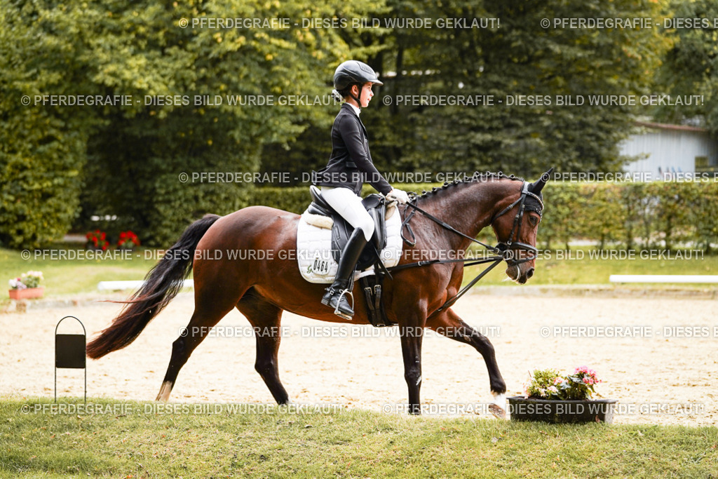 DSC09646 | Pferdegrafie