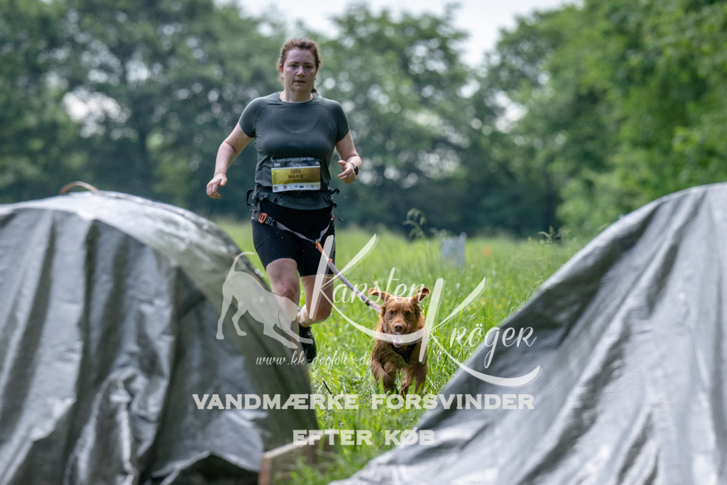 0940_ZZ91325 | kk-dogfotos