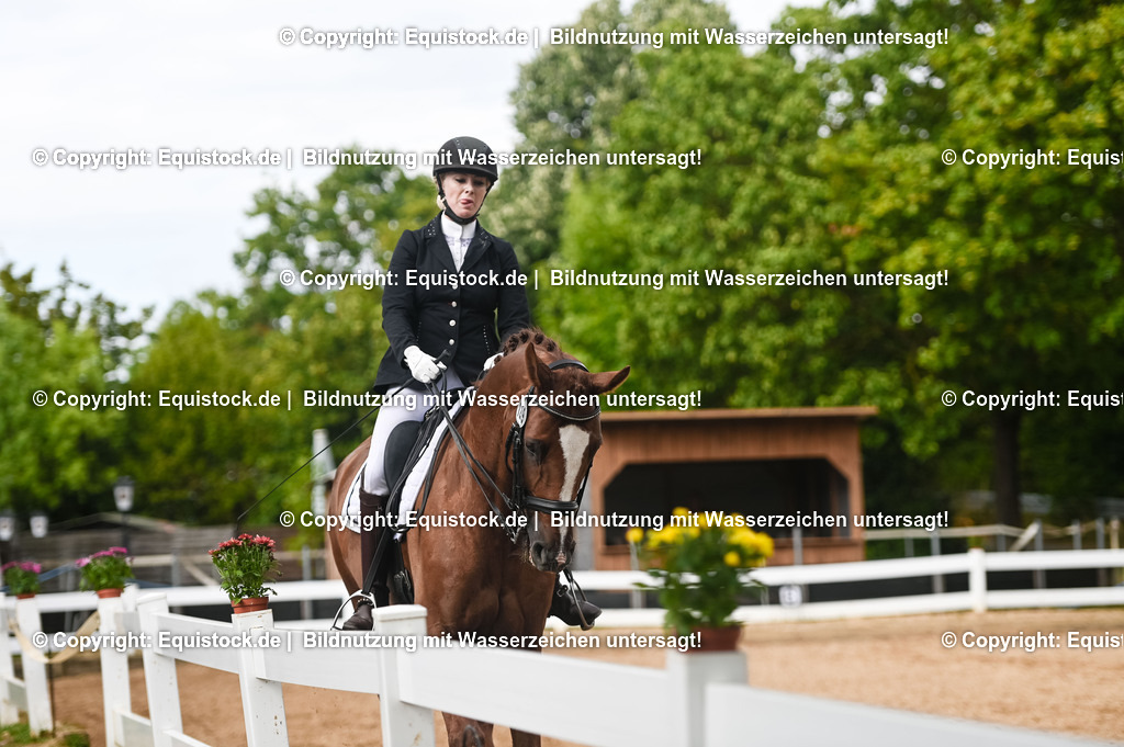 20230716_01_Dressurprüfung Kl.M_0541 | equistock