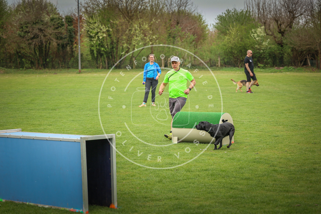 Pfotenfotografie_0L8A9814 | Hundefotografie, Tierfotograf, Pfotenfotografie, Fotoshooting Hund, Hunde Portrait, Hundesport, Hundeportraits, Heideshooting, Hunde, Sportfotograf, Hundefotograf, Turnierhundsport, THS,  - Realisiert mit Pictrs.com