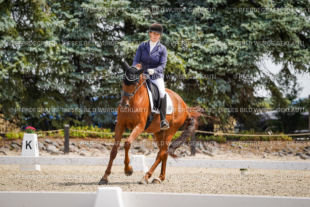 DSC00564 | Pferdegrafie