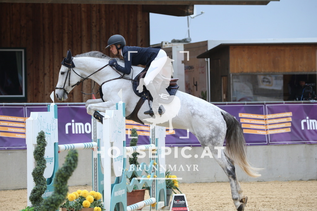 DL2Q0765 | Willkommen bei Brunnmayr - Design & Fotografie – Ihrem Spezialisten für Reitturniere und Pferdeveranstaltungen in Oberösterreich, Salzburg und Bayern! Seit über 17 Jahren sind wir leidenschaftlich dabei.