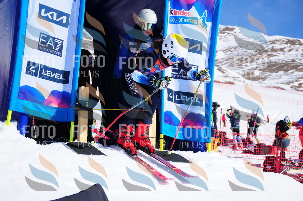 DSC_3611 | holidayphoto