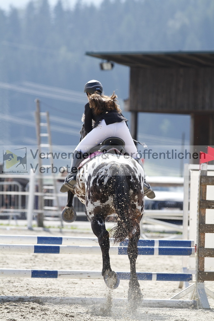 _MG_3439 | equestrian-live-com