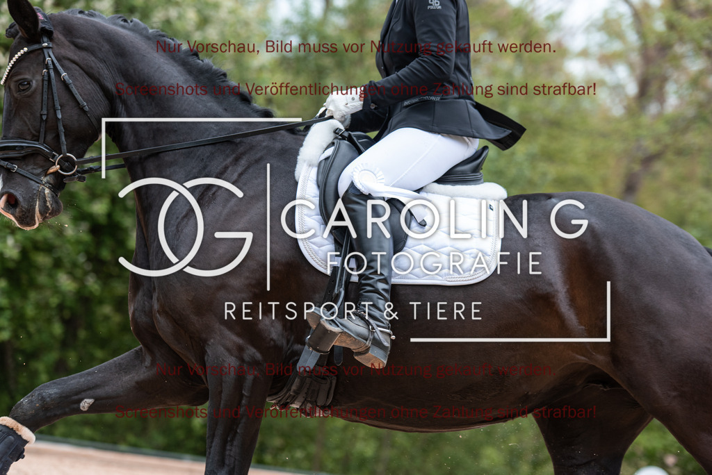 DSC_7126 | Turnierfotografin Carolin Gieschke,Reitsport Turnierfotografie Carolin G Fotografie | Turnierfotos aus Kirchheim/Teck, Esslingen, Stuttgart und dem Bodenseekreis