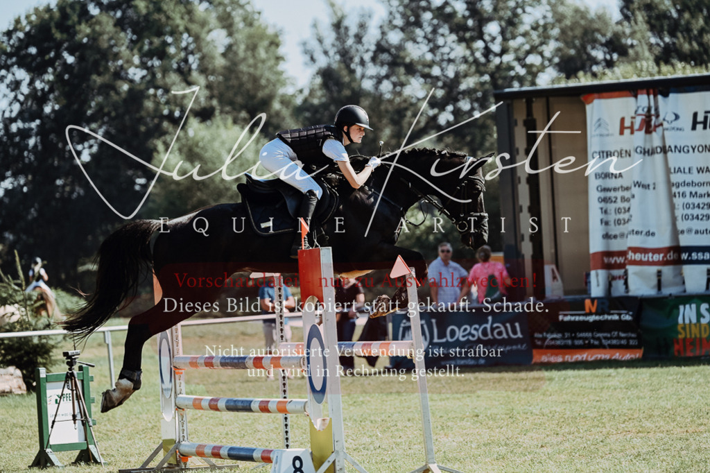 DSC_6017 | Pferde- und Turnierfotografie in Westsachsen. Pferdeportraits, Auftragszeichnungen und intuitive Kunst.