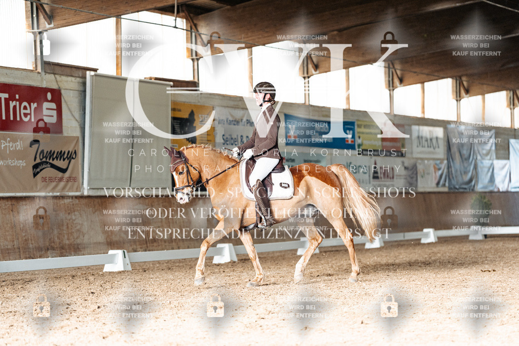 CK902925 | Turnierfotografie Pferdefotografie Trier Rheinland-Pfalz Pferdesport Reitsport Tierfotografie Sportfotografie Pferdevideo Pferdevideografie Equestrianvideography equestrianphotography  - Realisiert mit Pictrs.com