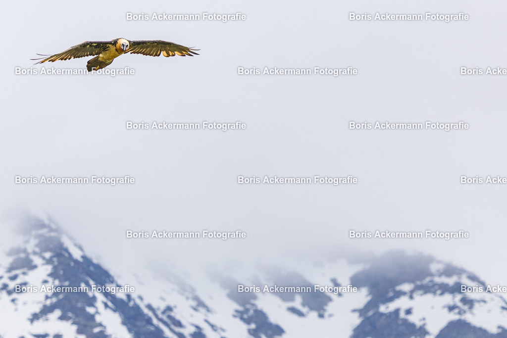 148A9872 | FineArtPrint, Hahnemühle, FeeGalerie, Fee Galerie, Fotokunst, Fotografie, Canonphotography, Bergfoto, Matterhorn, Rimpfischhorn, Allalinhorn, Saas-Fee, Wallis, Valais, Switzerland, Bergfotografie