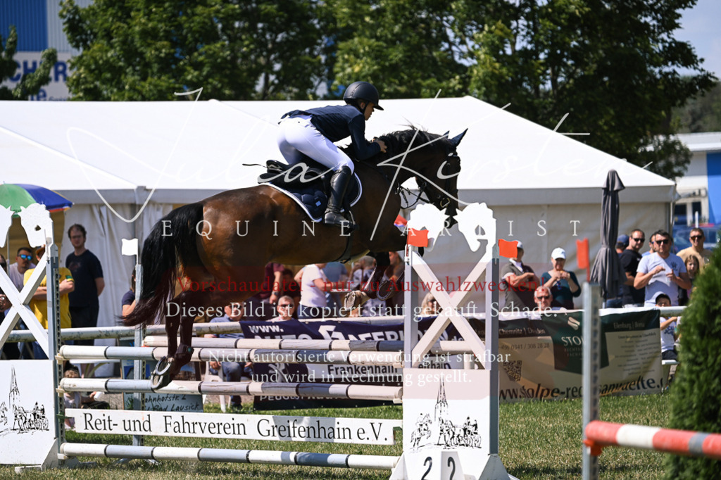 DSC_0109 | Pferde- und Turnierfotografie in Westsachsen. Pferdeportraits, Auftragszeichnungen und intuitive Kunst.