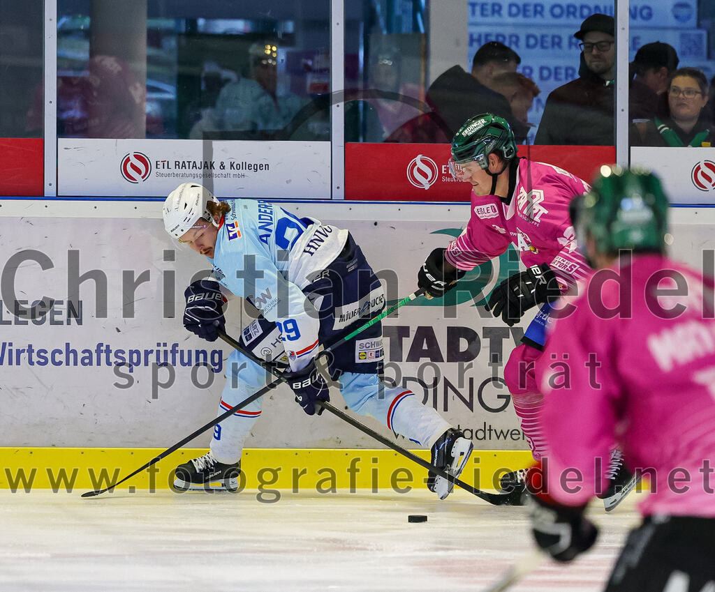 2025-10-05_025_TSV_Erding_gegen_Heilbronner_Falken | Erding, Deutschland, 05.10.2025:Eishockey, Oberliga Süd 2025 / 2026, 6. Spieltag, TSV Erding gegen Heilbronner Falken, Endergebnis: 3:1Calder Anderson (Heilbronner Falken, #29)Foto: Christian Riedel / fotografie-riedel.net
