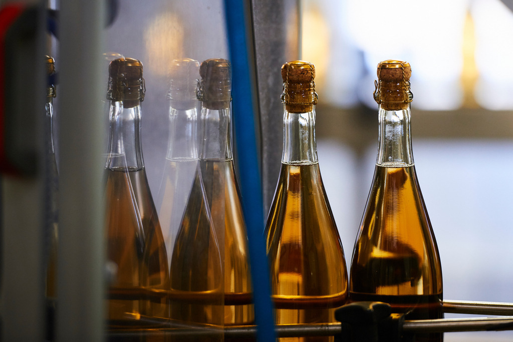 Sektkellerei Szigeti | Gols, Austria - February 19, 2018: Sektkellerei Szigeti; gereinigte und verkorkte Sektflaschen auf dem Förderband. - Realisiert mit Pictrs.com