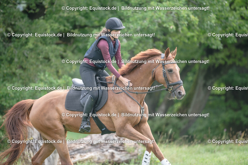 20250726_Vielseitigkeitslehrgang-Marbach_0125 | Foto: Thomas Hartig
