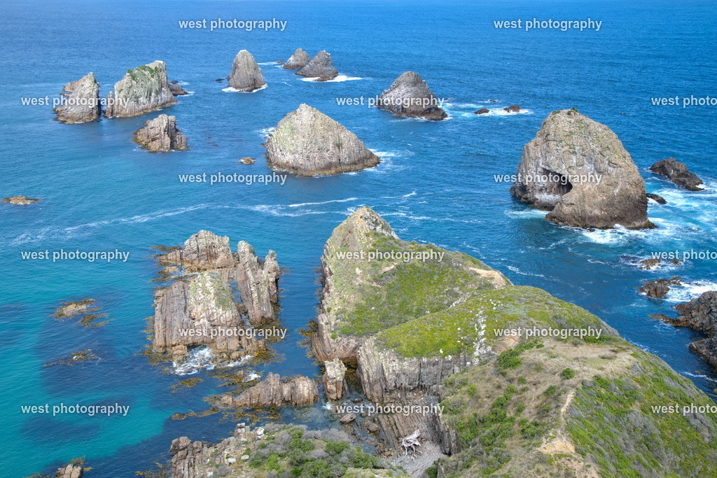 Nugget Point 2 - NLZ 2024 | west photography - Realisiert mit Pictrs.com