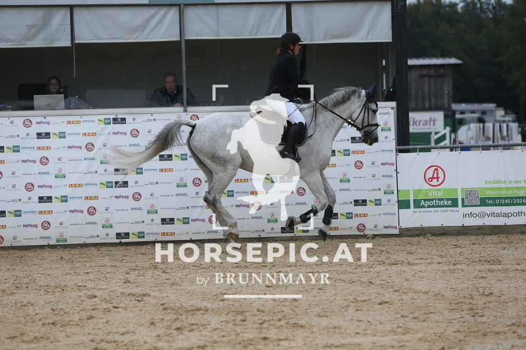 DL2Q0369 | Willkommen bei Brunnmayr - Design & Fotografie – Ihrem Spezialisten für Reitturniere und Pferdeveranstaltungen in Oberösterreich, Salzburg und Bayern! Seit über 17 Jahren sind wir leidenschaftlich dabei.