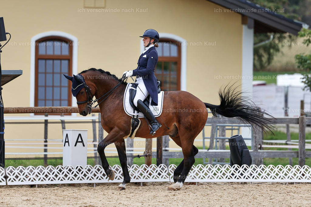 11-036-Dressur S___-StoibPH-1432 | working equitationturnier fotograf videograf stoibphotography marixx film working equitation deutschland reitsport turnierfotografie eventfotografie equestrian events