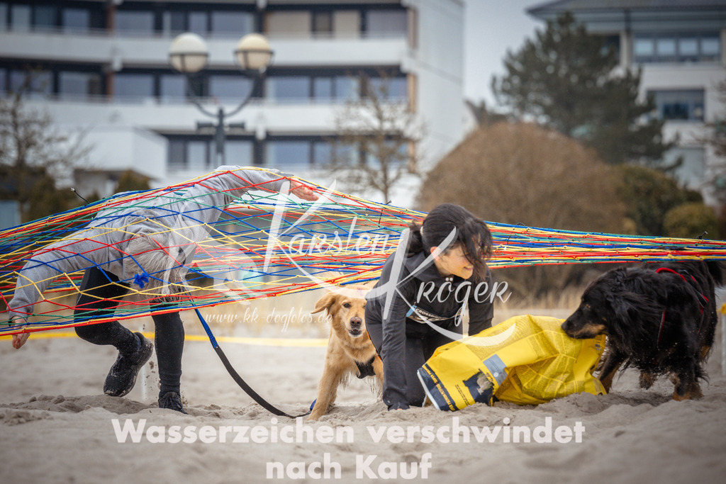 1052_ZZ96122 | kk-dogfotos