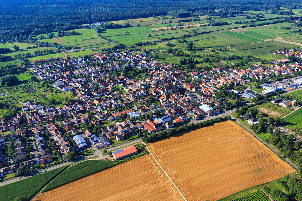 Luftbild: Dorfübersicht aus Norden in Steinfeld im Bundesland Rheinland-Pfalz in Deutschland. Foto: IMG_092541.jpg vom 01.08.2016 durch Werner Riehm/FLY-FOTO.de