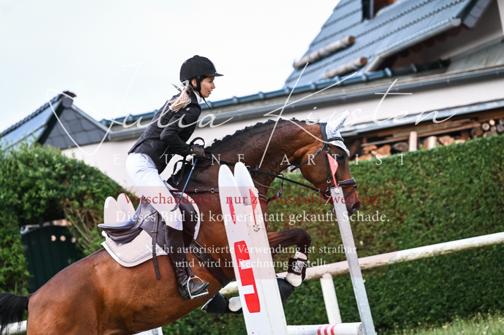 DSC_8070 | Pferde- und Turnierfotografie in Westsachsen. Pferdeportraits, Auftragszeichnungen und intuitive Kunst.