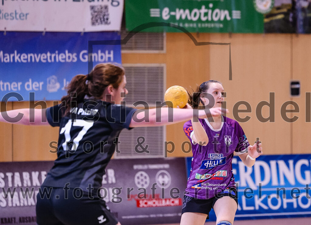2024-12-14_013_SpVgg_Altenerding_gegen_SVA_Palzing | Erding, Deutschland, 14.12.2024:Handball, Bezirksoberliga Frauen Altbayern 2024 / 2024, 9. Spieltag, SpVgg Altenerding gegen SVA Palzing, Endergebnis: 20:30Christina Schredl (SVA Palzing, #17), Julia Kranich (SpVgg Altenerding, #9)Foto: Christian Riedel / fotografie-riedel.net