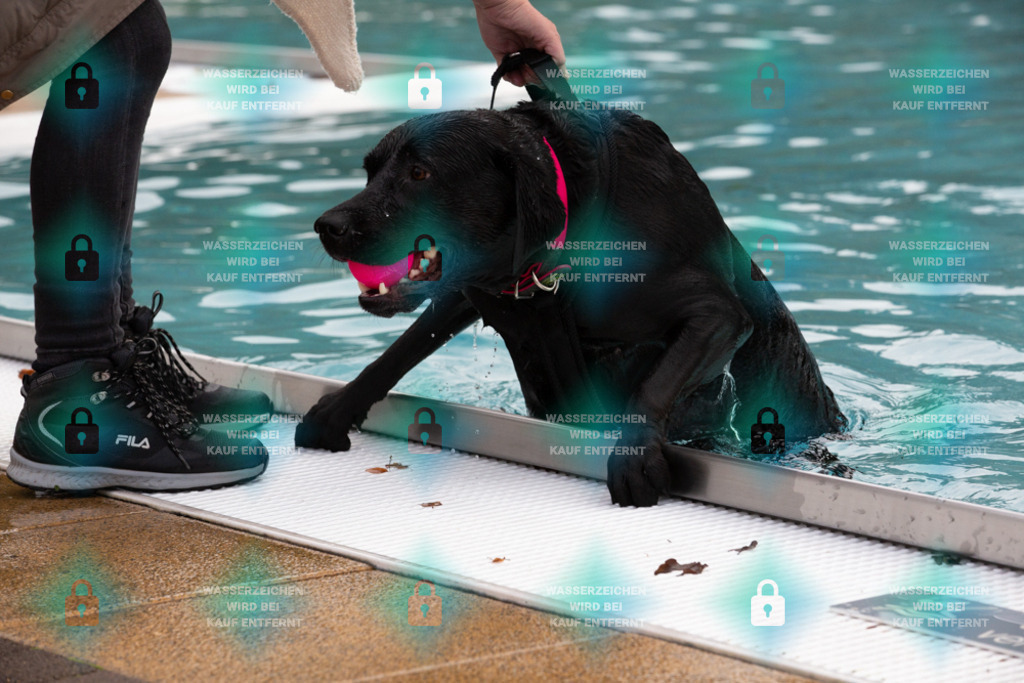 _HP_7514_1000o | HetPix, HetPix Fotodesign, Fotografie, Fotodesign, Webshop, Sportfotografie, Portraitfotografie, Onlineshop, Sportfotografie, Polch, Motorsportfotografie, Eventfotografie