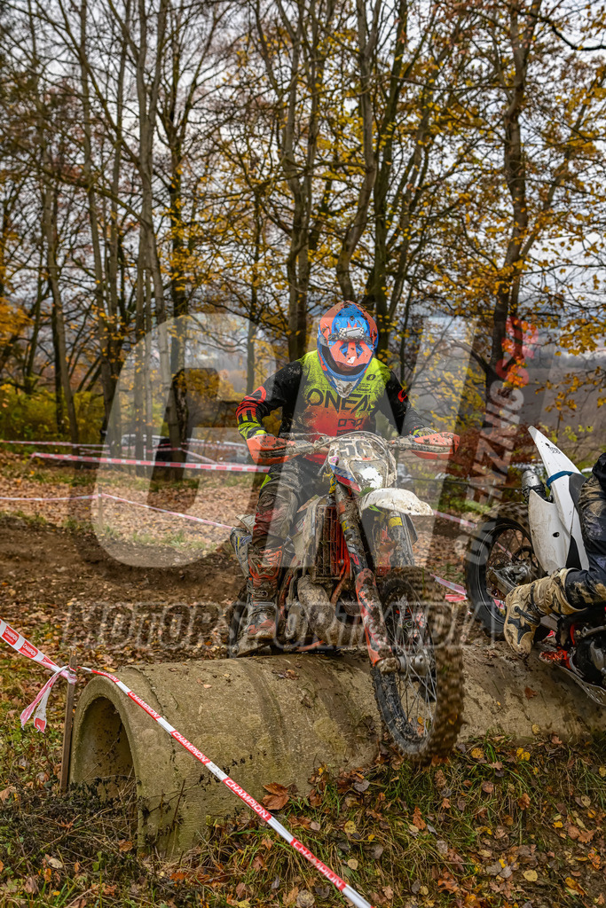 NZ8_6416 | grenznic640