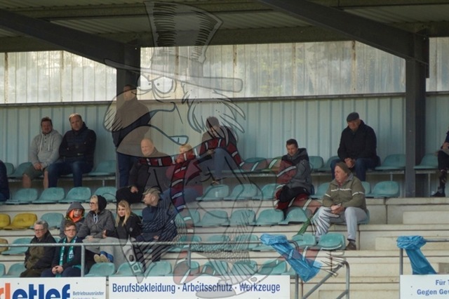 FC Schönberg 95 vs. BFC Dynamo 102 | mythos-online-redaktion