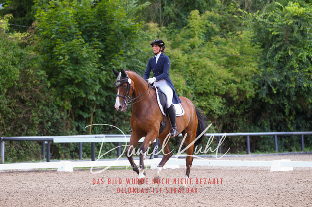 DKP41542 | Turniersportfotografie; Pferdefotografie; Dressurfotografie