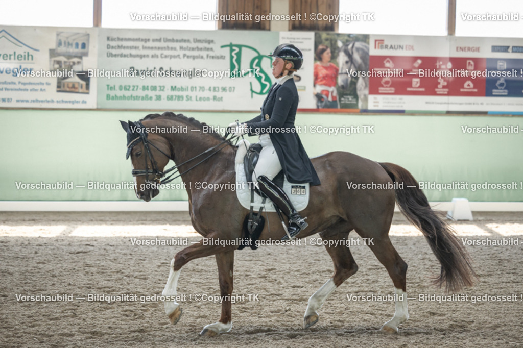 _D5A9378 | Emotionale Pferde- & People-Fotografie rund um Heidelberg, Leimen & Umgebung. Natürliche Fotos von Pferd, Mensch & Familie. Jetzt Termin sichern!