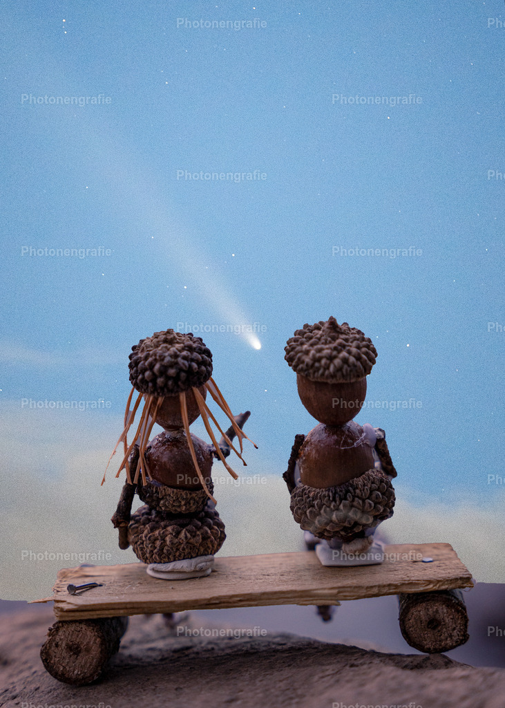 Manni und Lola beobachten einen Kometen | Photonengrafie´s Shop - Realisiert mit Pictrs.com