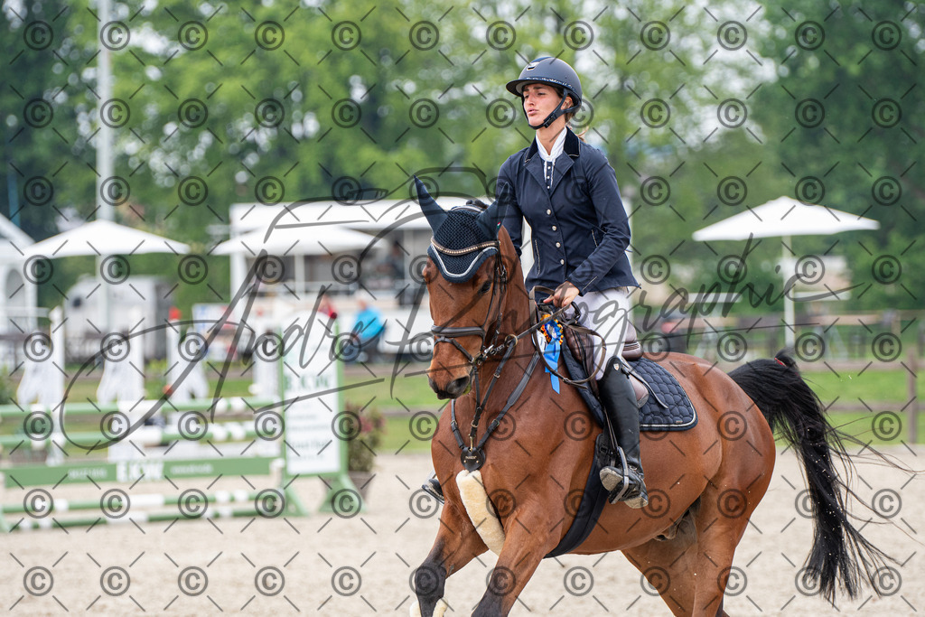 KPT_3796 | andre_photographic