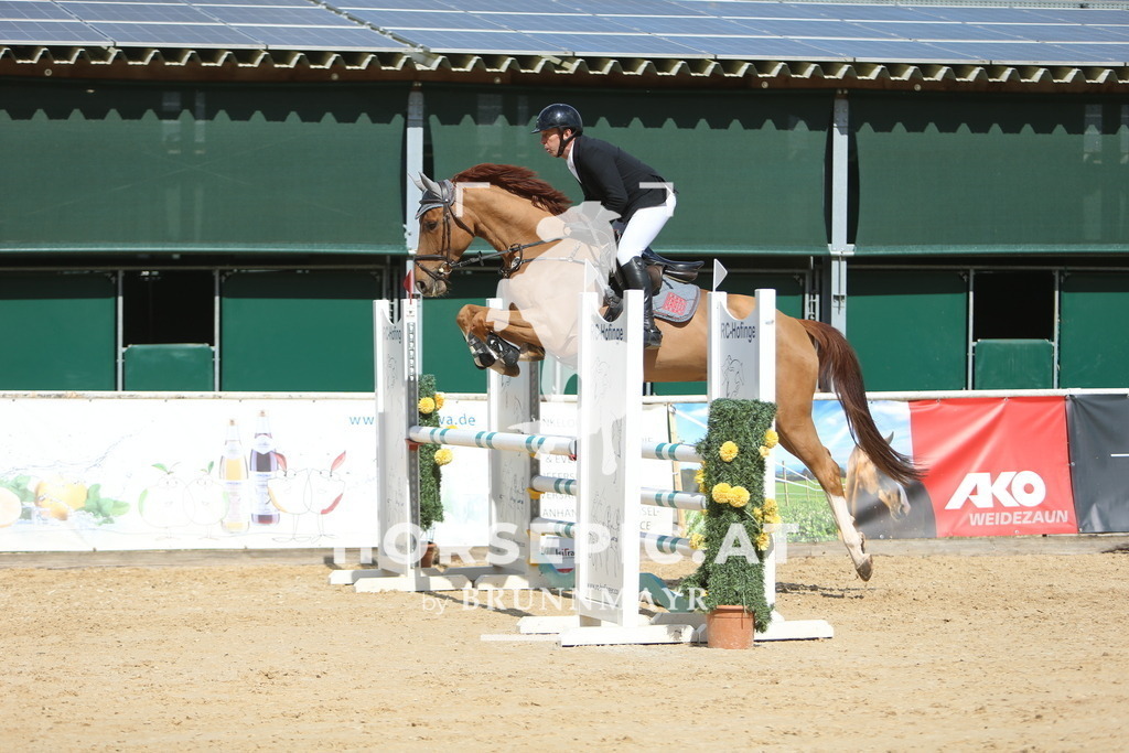 DL2Q9172 | Willkommen bei Brunnmayr - Design & Fotografie – Ihrem Spezialisten für Reitturniere und Pferdeveranstaltungen in Oberösterreich, Salzburg und Bayern! Seit über 17 Jahren sind wir leidenschaftlich dabei.