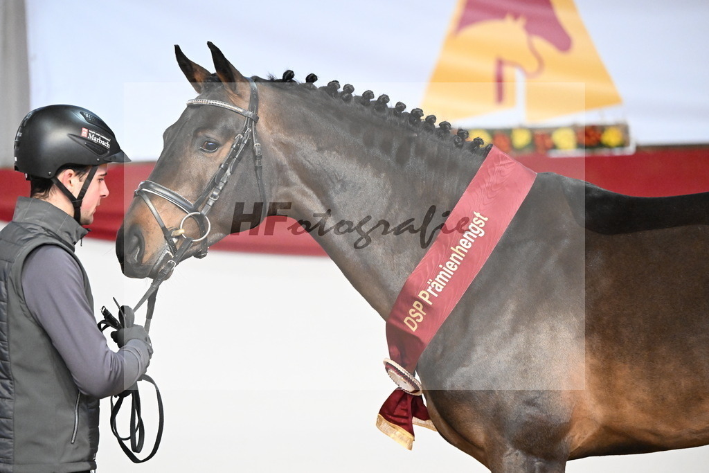 Comme_Carvelle_3265036 | hf-fotografie - Realizzato con Pictrs.com