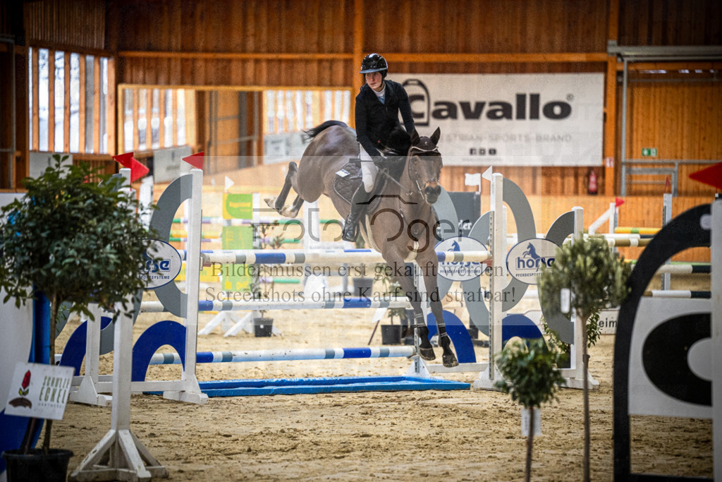 DOS_0716 | Entdecke hochwertige Reitturnierfotos von Foto Oger. Professionell, emotional und authentisch – jetzt Lieblingsmomente im Shop bestellen.Deutschlandweite Turnierfotografie. - Realisiert mit Pictrs.com