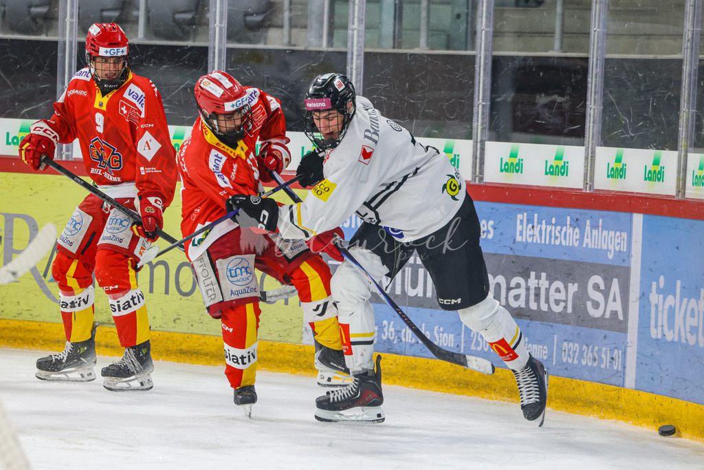 701A3269 | Sportbilder, Sportfotograf, Hochzeits- und Eventfotografin, Flugshows, Portraits und Tiershooting, Aviation, Downhill, Nationalleague, Swissleague, International