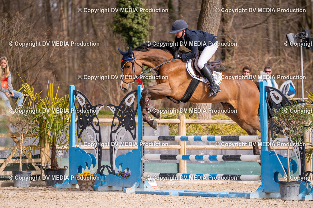 Kranichstein Tag 1-773 | dv-media-shop - Realisiert mit Pictrs.com