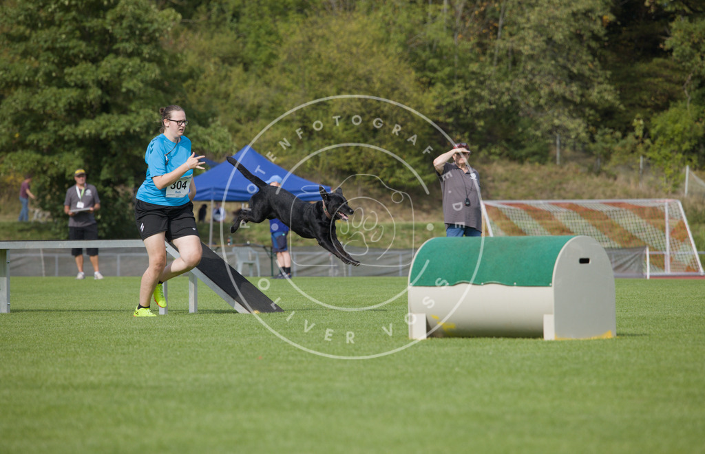 0L8A3556 | Hundefotografie, Tierfotograf, Pfotenfotografie, Fotoshooting Hund, Hunde Portrait, Hundesport, Hundeportraits, Heideshooting, Hunde, Sportfotograf, Hundefotograf, Turnierhundsport, THS,  - Realisiert mit Pictrs.com