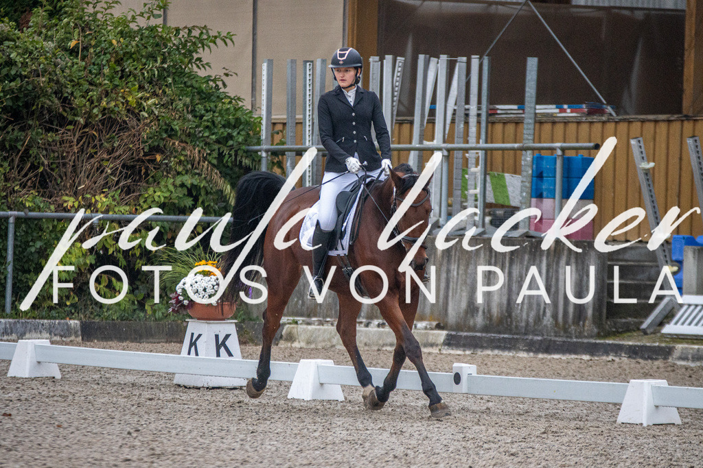 IMG_2261 | Erleben Sie dynamische Sport- und emotionale Tierfotografie in Süddeutschland mit Fotos von Paula. Spezialisiert auf Pferde- und Hundefotografie sowie Sportevents. Kontaktieren Sie mich für einzigartige und ausdrucksstarke Bilder Ihrer besonderen Momente. - Realisiert mit Pictrs.com