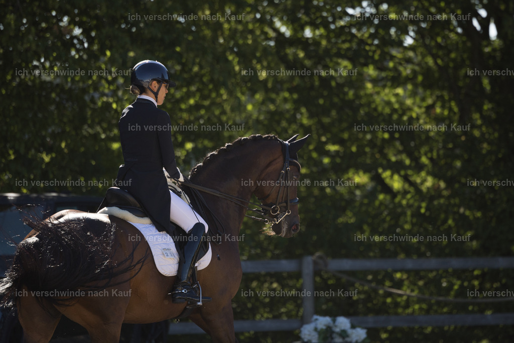 FHC2026_P07_238_17232 | working equitationturnier fotograf videograf stoibphotography marixx film working equitation deutschland reitsport turnierfotografie eventfotografie equestrian events