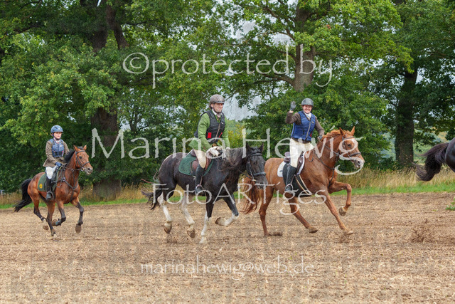 Jagd Perdoel_MarinaHewigMCH04373 | Fotografie, FotoArt, PferdesportArt, Pferdesportfotografie, Landschaftsfotografie, Reisefotografie, Reise, Pferde - Realisiert mit Pictrs.com
