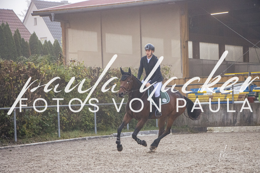IMG_2530 | Erleben Sie dynamische Sport- und emotionale Tierfotografie in Süddeutschland mit Fotos von Paula. Spezialisiert auf Pferde- und Hundefotografie sowie Sportevents. Kontaktieren Sie mich für einzigartige und ausdrucksstarke Bilder Ihrer besonderen Momente. - Realisiert mit Pictrs.com